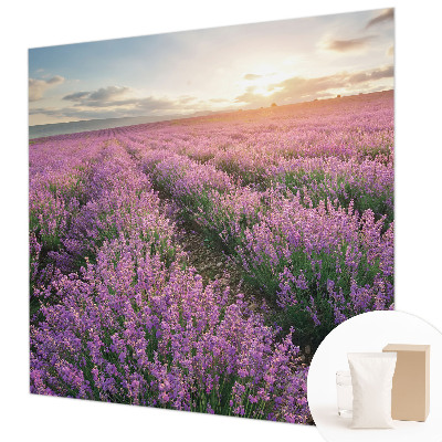 Tapeta fotograficzna fizelinowa Lawendowe pola