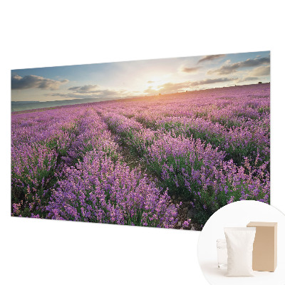 Tapeta fotograficzna fizelinowa Lawendowe pola