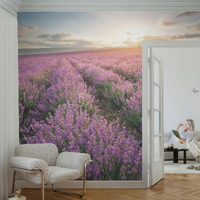 Tapeta fotograficzna fizelinowa z motywem lawendowych pól