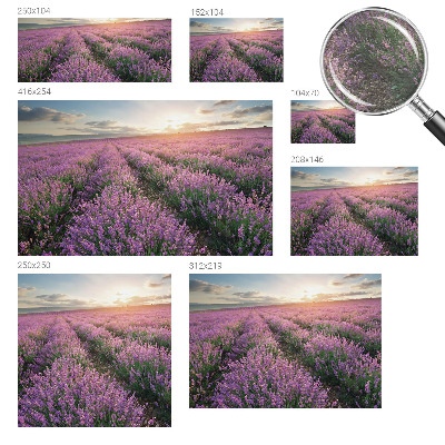 Tapeta fotograficzna fizelinowa Lawendowe pola