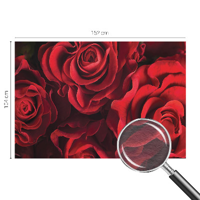 Nowoczesna fototapeta do salonu z motywem czerwonych róż