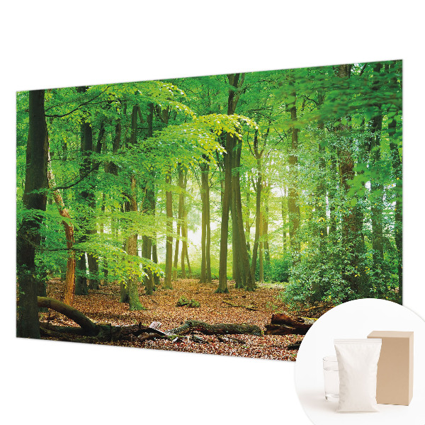 Dekoracyjna fototapeta na ścianę Zielony las