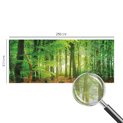 Dekoracyjna fototapeta na ścianę Zielony las