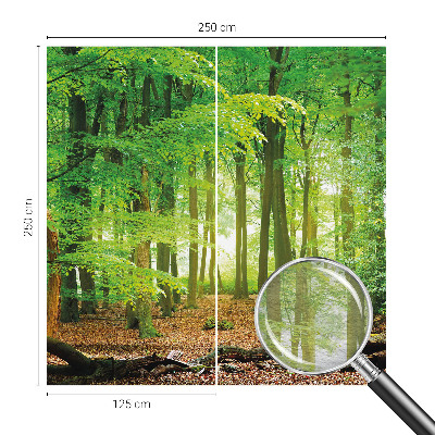 Dekoracyjna fototapeta na ścianę Zielony las