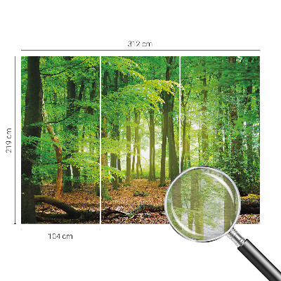 Dekoracyjna fototapeta na ścianę Zielony las