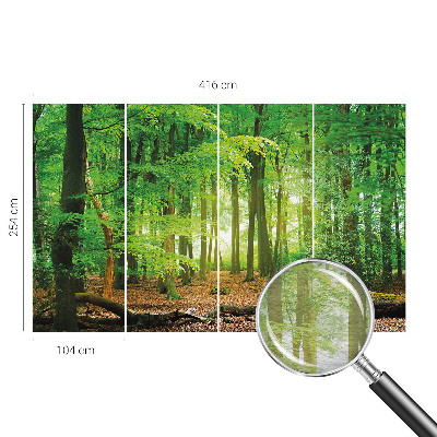 Dekoracyjna fototapeta na ścianę Zielony las