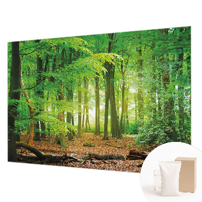 Dekoracyjna fototapeta na ścianę Zielony las