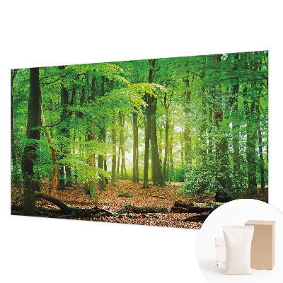 Dekoracyjna fototapeta na ścianę Zielony las