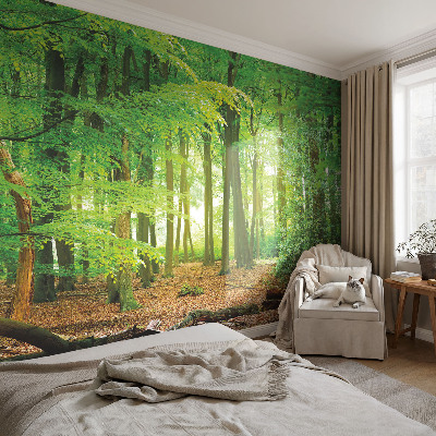Dekoracyjna fototapeta na ścianę Zielony las