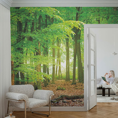 Dekoracyjna fototapeta na ścianę z motywem zielonego lasu
