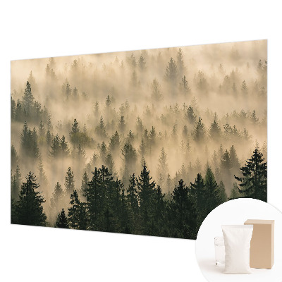 Nowoczesna fototapeta do salonu Leśna mgła