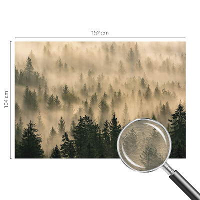 Nowoczesna fototapeta do salonu z motywem leśnej mgły