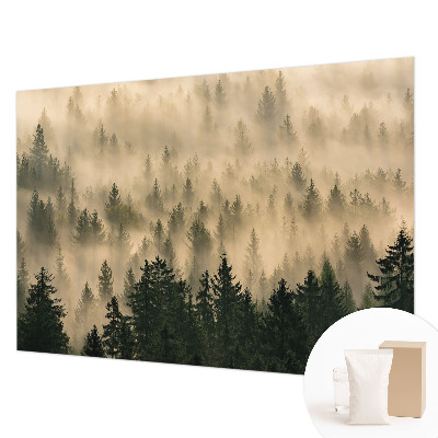Nowoczesna fototapeta do salonu Leśna mgła