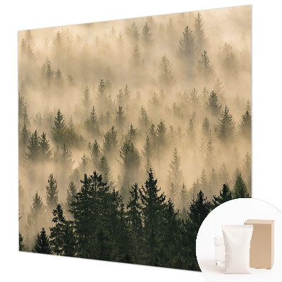 Nowoczesna fototapeta do salonu Leśna mgła