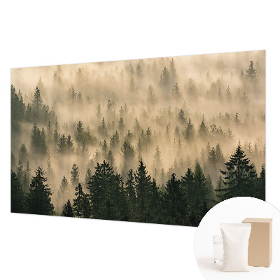 Nowoczesna fototapeta do salonu Leśna mgła