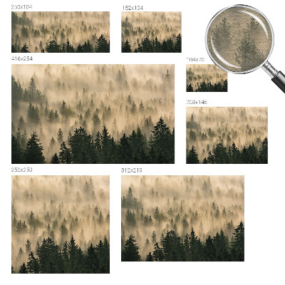 Nowoczesna fototapeta do salonu Leśna mgła