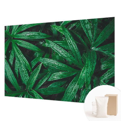 Fototapeta fizelinowa z nadrukiem Naturalna zieloność