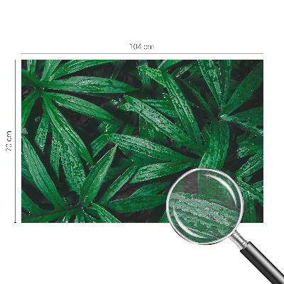 Fototapeta fizelinowa z nadrukiem z motywem naturalnej zieleni