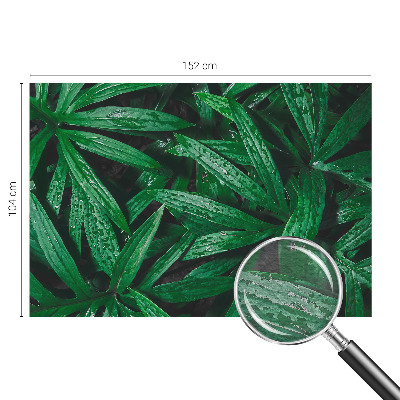 Fototapeta fizelinowa z nadrukiem z motywem naturalnej zieleni