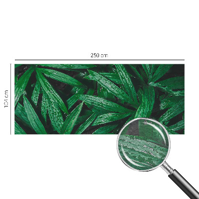 Fototapeta fizelinowa z nadrukiem Naturalna zieloność