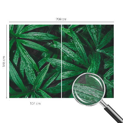 Fototapeta fizelinowa z nadrukiem z motywem naturalnej zieleni