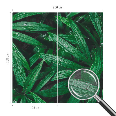 Fototapeta fizelinowa z nadrukiem Naturalna zieloność