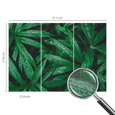 Fototapeta fizelinowa z nadrukiem z motywem naturalnej zieleni
