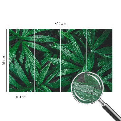 Fototapeta fizelinowa z nadrukiem Naturalna zieloność