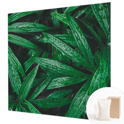 Fototapeta fizelinowa z nadrukiem Naturalna zieloność