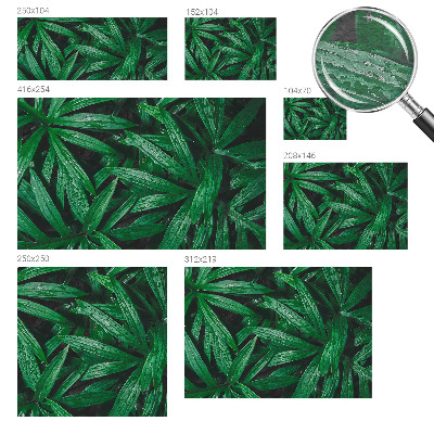 Fototapeta fizelinowa z nadrukiem Naturalna zieloność