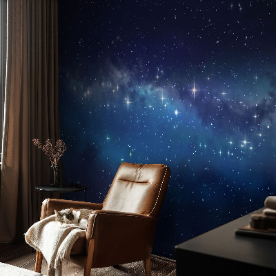 Dekoracyjna fototapeta na ścianę Dekoracyjna fototapeta na ścianę Gwiezdna noc