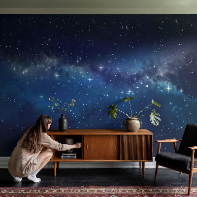 Dekoracyjna fototapeta na ścianę Dekoracyjna fototapeta na ścianę Gwiezdna noc