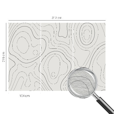 Fototapeta fizelinowa z nadrukiem Fototapeta fizelinowa z nadrukiem Płynne linie