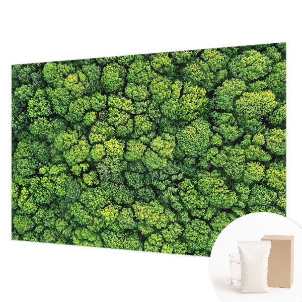 Fototapeta fizelinowa do sypialni Leśna panorama