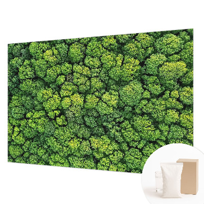 Fototapeta fizelinowa do sypialni Leśna panorama