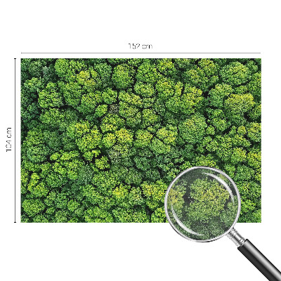 Fototapeta fizelinowa do sypialni z motywem leśnej panoramy