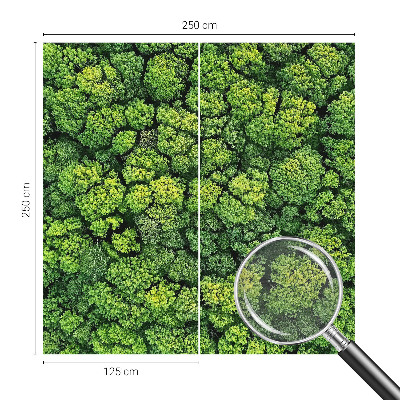 Fototapeta fizelinowa do sypialni Leśna panorama