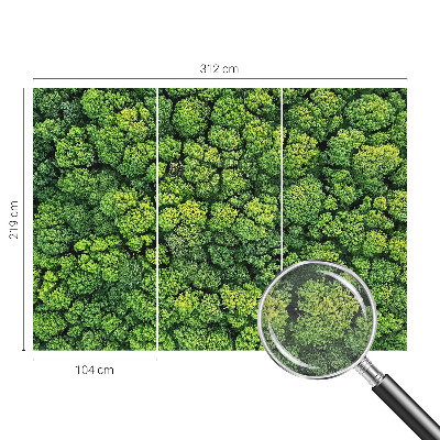 Fototapeta fizelinowa do sypialni z motywem leśnej panoramy