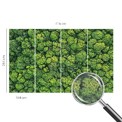 Fototapeta fizelinowa do sypialni Leśna panorama