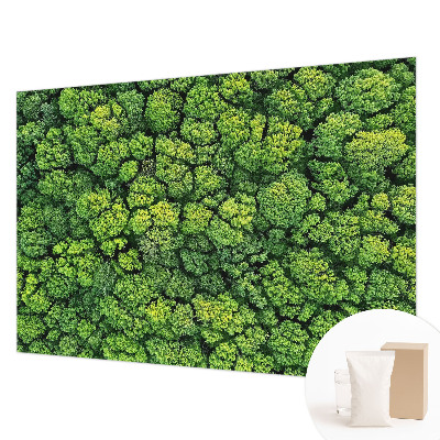 Fototapeta fizelinowa do sypialni Leśna panorama