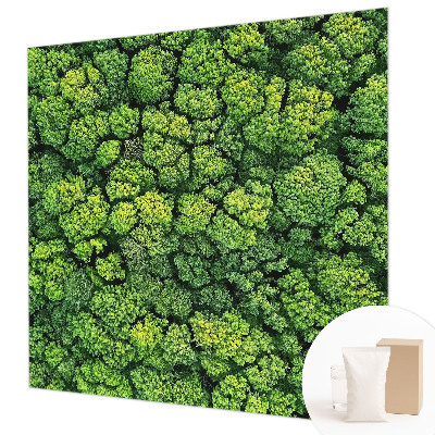 Fototapeta fizelinowa do sypialni Leśna panorama