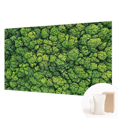 Fototapeta fizelinowa do sypialni z motywem leśnej panoramy