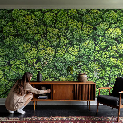 Fototapeta fizelinowa do sypialni Leśna panorama