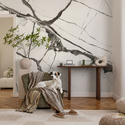 Fototapeta fizelinowa z nadrukiem z motywem marmurowych pęknięć