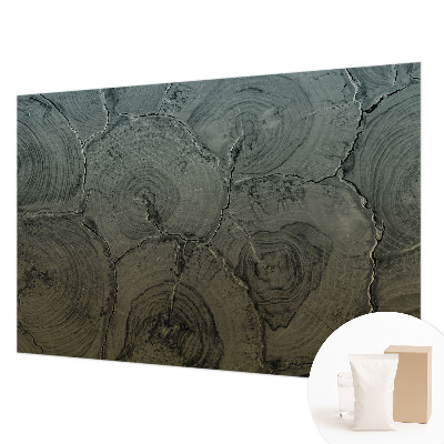 Dekoracyjna fototapeta na ścianę Drewniane słoje