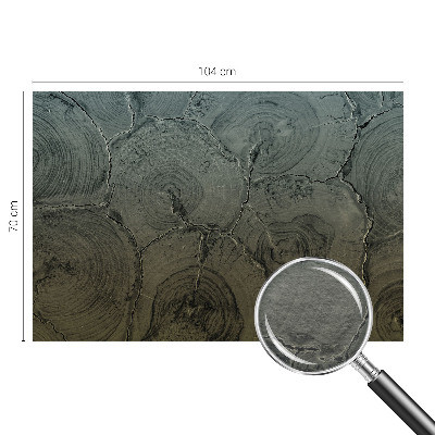 Dekoracyjna fototapeta na ścianę Drewniane słoje