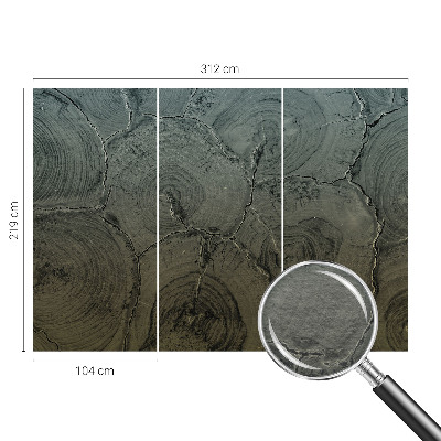 Dekoracyjna fototapeta na ścianę Drewniane słoje