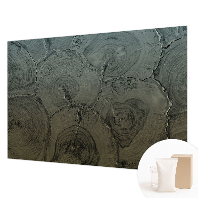 Dekoracyjna fototapeta na ścianę Drewniane słoje