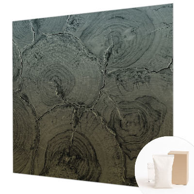 Dekoracyjna fototapeta na ścianę Drewniane słoje