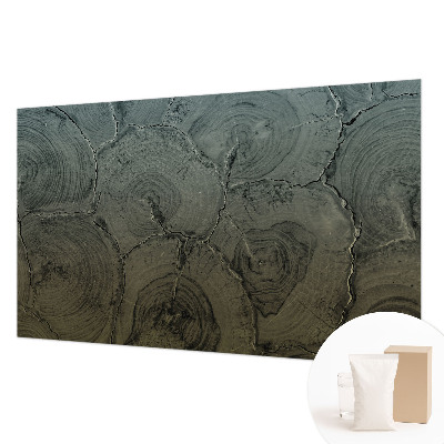 Dekoracyjna fototapeta na ścianę Drewniane słoje